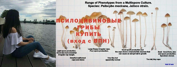 каннабис Абаза
